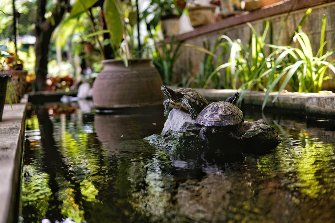 Lani'S House By The Ponds Hotel Vientiane Exterior photo